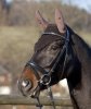 Nauszniki - PFIFF